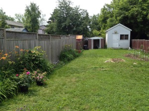 Our garden in July 2015 when daylilies started blooming and my first roses waiting in line to be planted. The old tree trunk is now well visible In the middle of our garden.