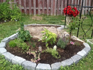 Here you can see already started herb garden on the left side of the old tree trunk - how it looked in the beginning of August, 2015. There already is: chives, lemon thyme, decorative marjoram, lavender, camomile and pineapple sage.There is also clematis, which I have added to this garden to decorate metal gate I have placed in front of the trunk. 