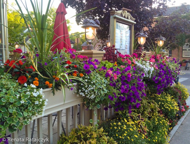 The abundance of beautiful flowers displayed in front of one of the restaurants in Niagara-on-the-Lake, Ontario, Canada.